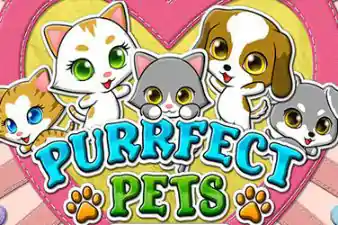 PURRFECT PETS